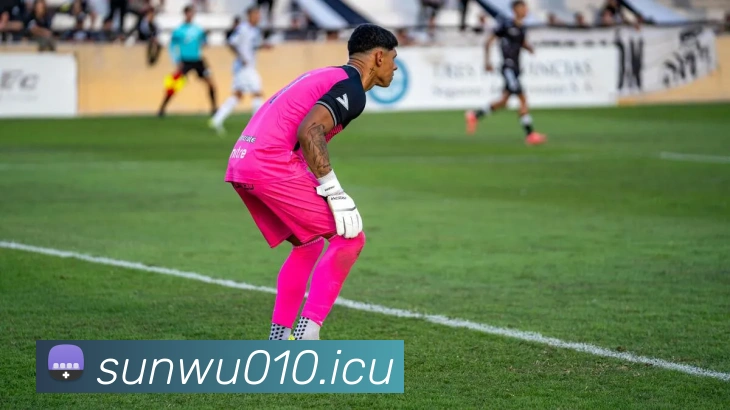 9游会官网平台生态图