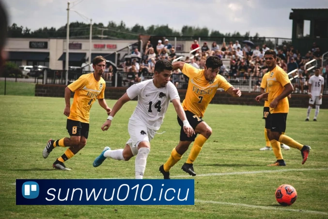 9游会官网全站App